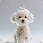 Pet Memory Keepsake Capsule Keychain