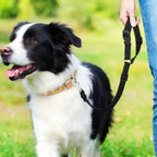 EasyRide™ Adjustable Car Headrest Dog Tether