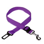 CruisePaw™ Strap - Clip-in Seat Stap