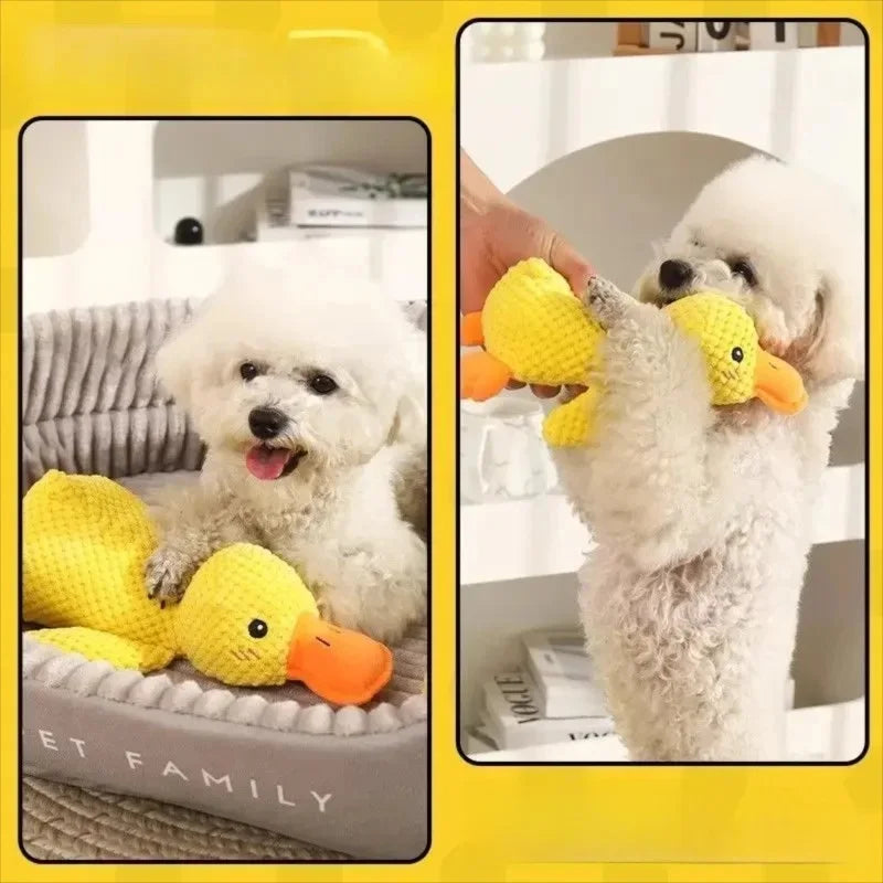 Petsy Snuggle Duck Plush Toy for Dogs
