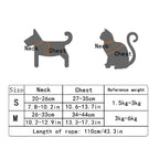 EasyFit™ Cozy Bear Harness & Leash Set for Small Dogs