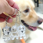 Pet Memory Keepsake Capsule Keychain