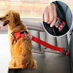 CruisePaw™ Strap - Clip-in Seat Stap
