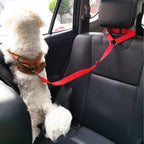 EasyRide™ Adjustable Car Headrest Dog Tether
