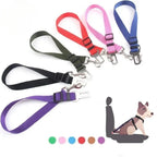 CruisePaw™ Strap - Clip-in Seat Stap