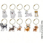 Pet Memory Keepsake Capsule Keychain