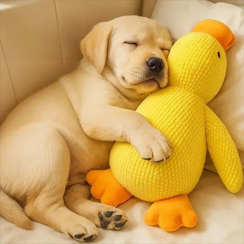 Petsy Snuggle Duck Plush Toy for Dogs