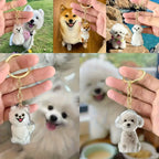 Pet Memory Keepsake Capsule Keychain