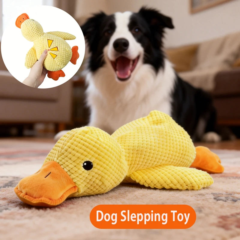 Petsy Snuggle Duck Plush Toy for Dogs