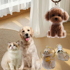 Pet Memory Keepsake Capsule Keychain